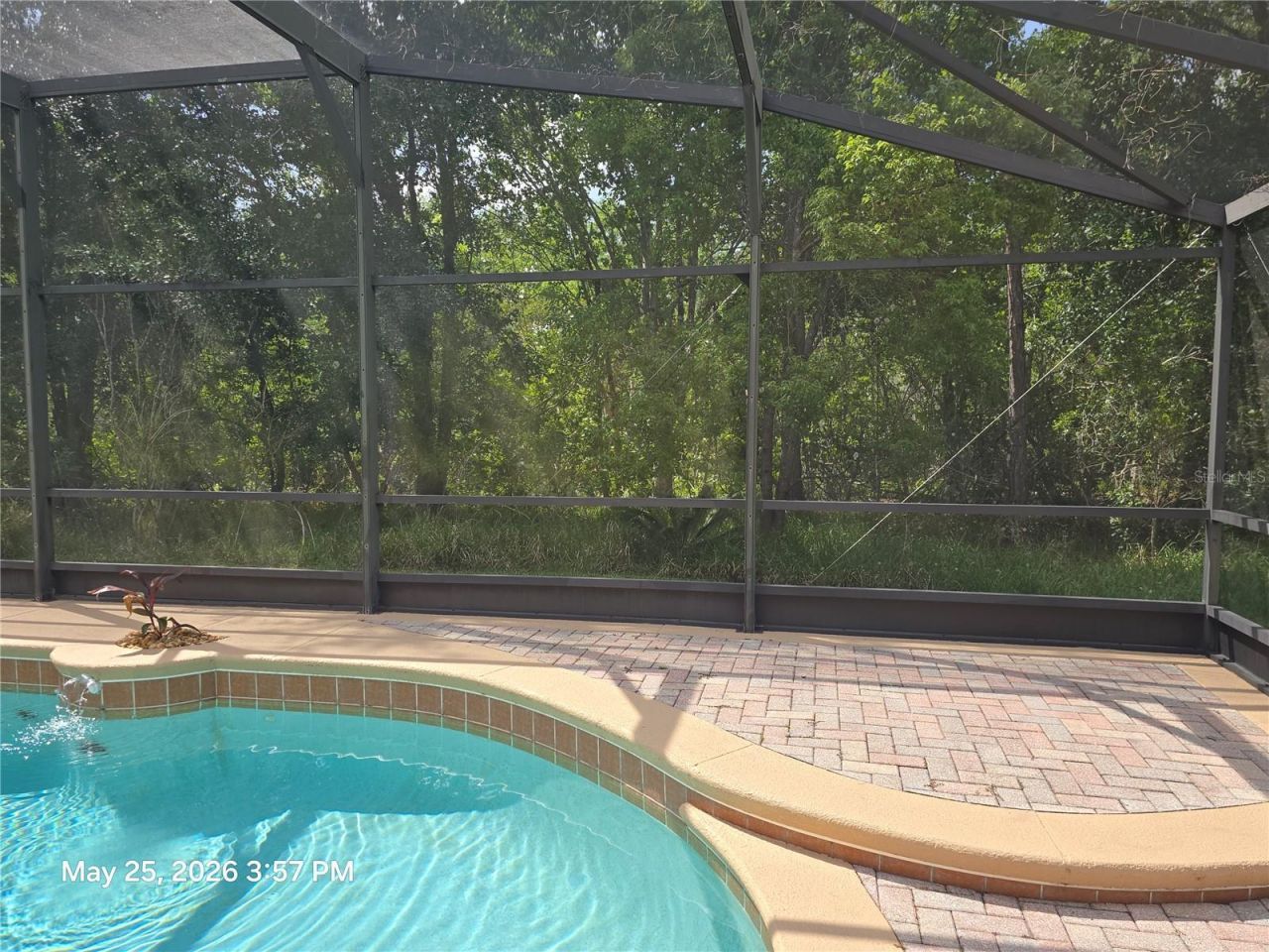 14751 Seattle Slew Place, Orlando, FL 32826 Photo