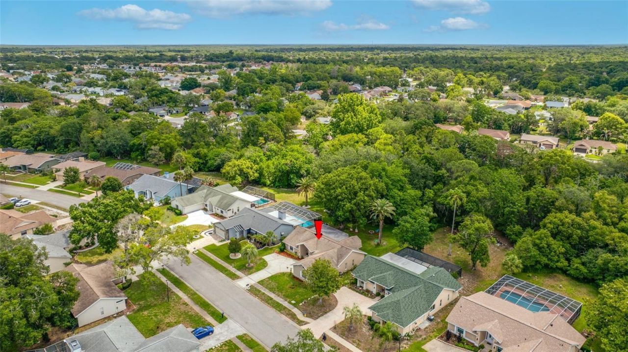 8741 Braxton Drive , Hudson, FL 34667 Photo