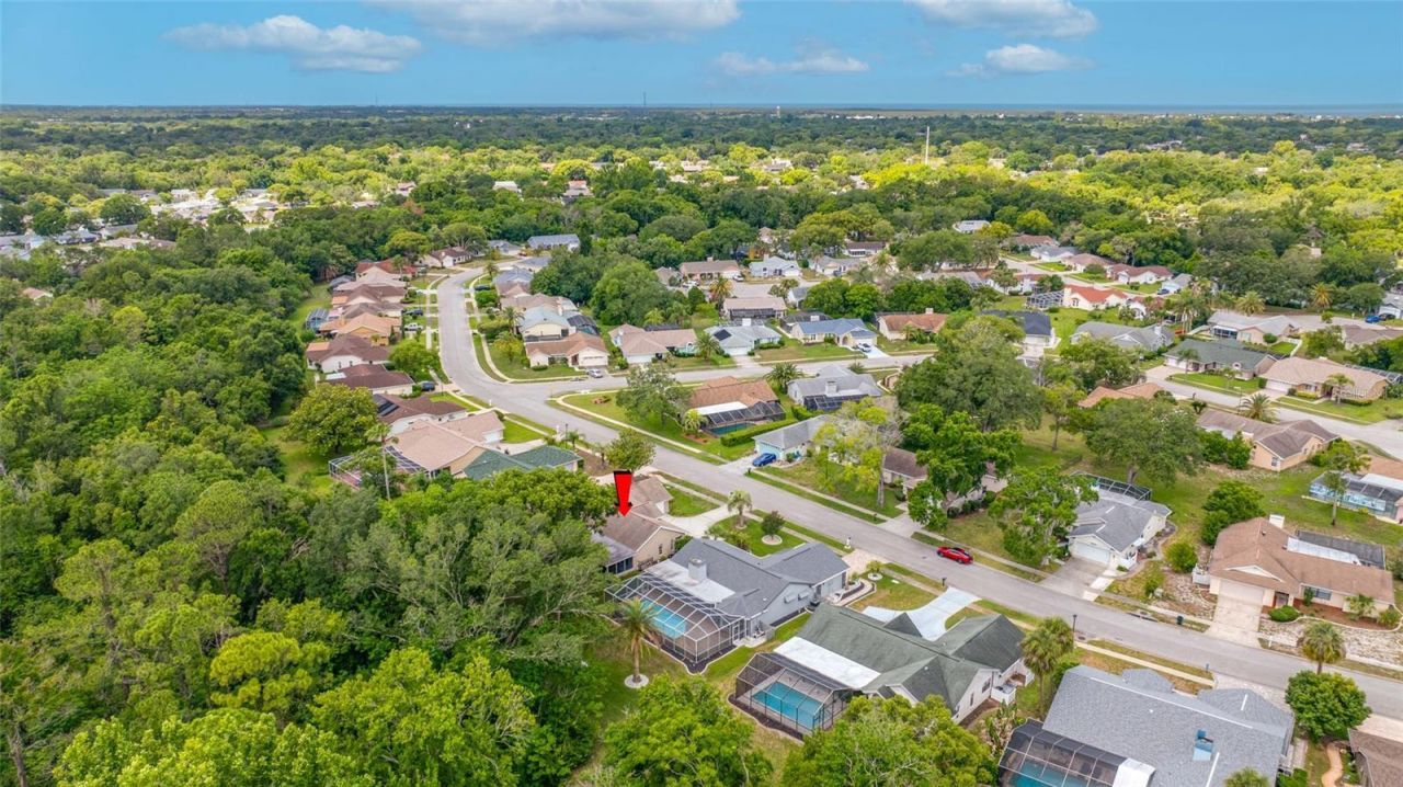 8741 Braxton Drive , Hudson, FL 34667 Photo