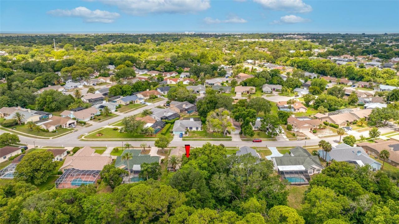 8741 Braxton Drive , Hudson, FL 34667 Photo