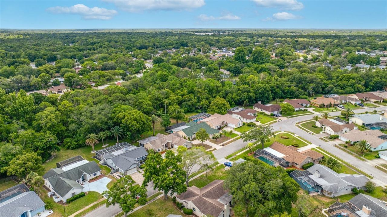 8741 Braxton Drive , Hudson, FL 34667 Photo