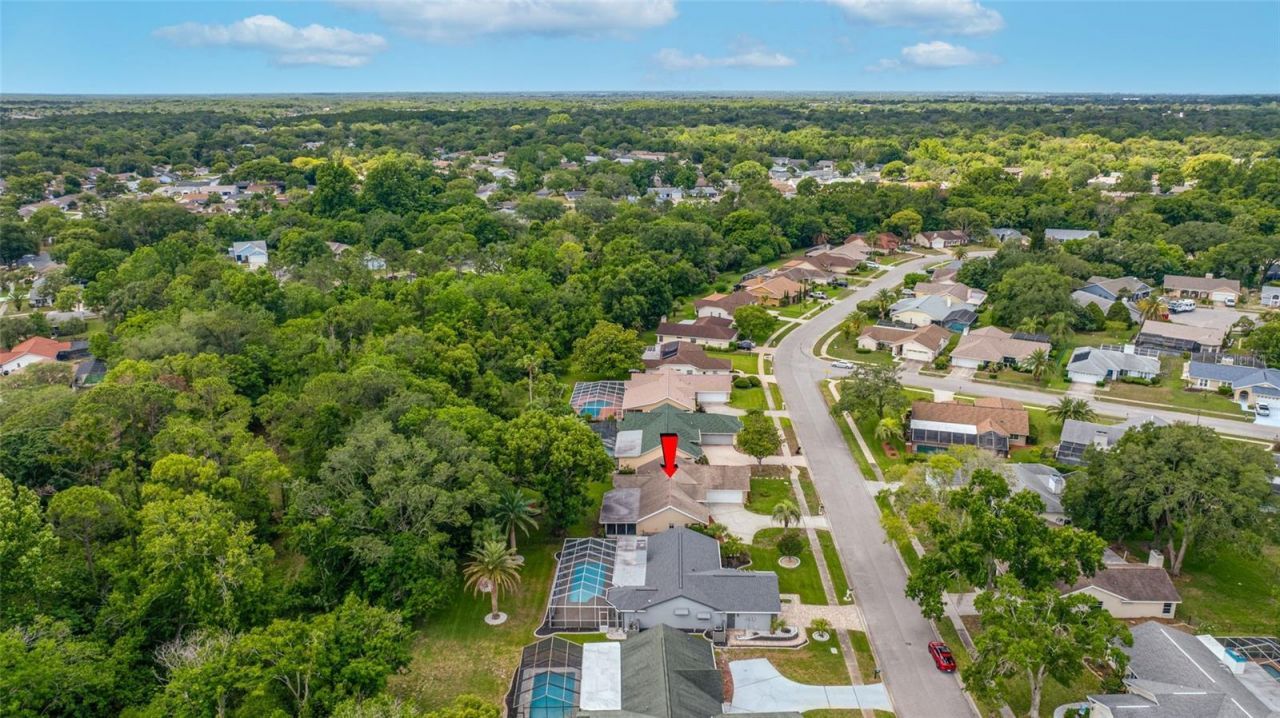 8741 Braxton Drive , Hudson, FL 34667 Photo