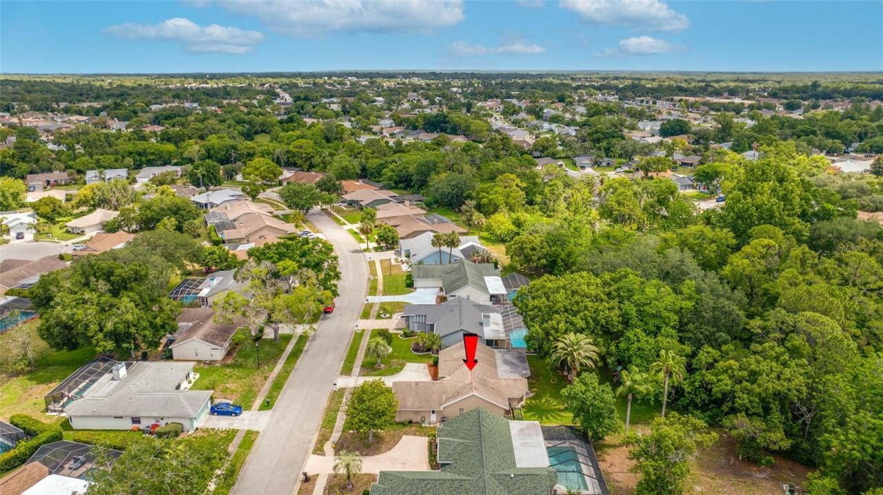 8741 Braxton Drive , Hudson, FL 34667 Photo