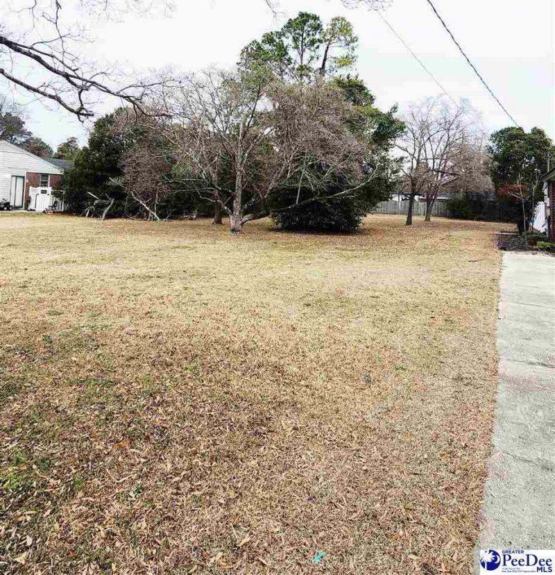 1321 E Washington Street Photo 27