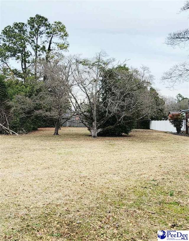 1321 E Washington Street Photo 30
