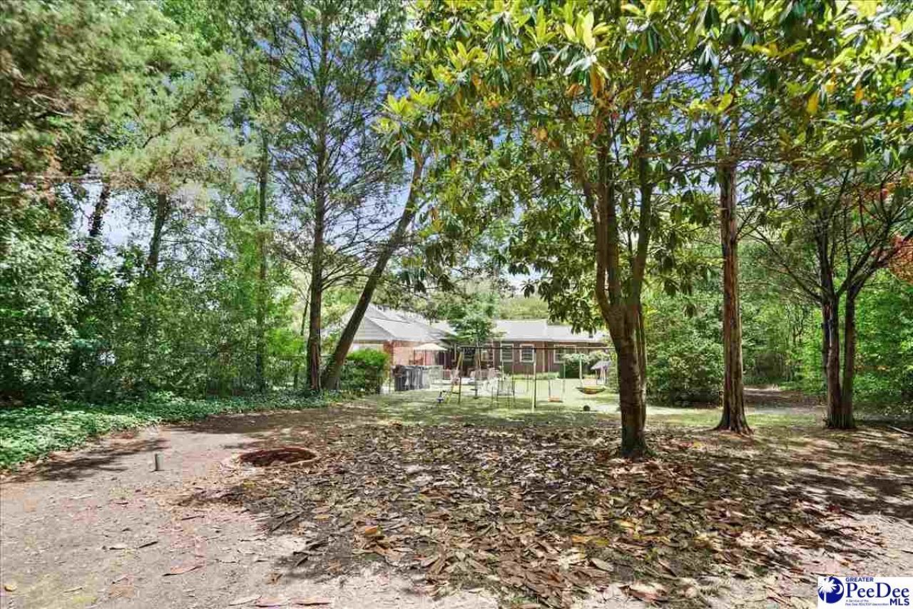 534 W Richardson Circle Photo 51