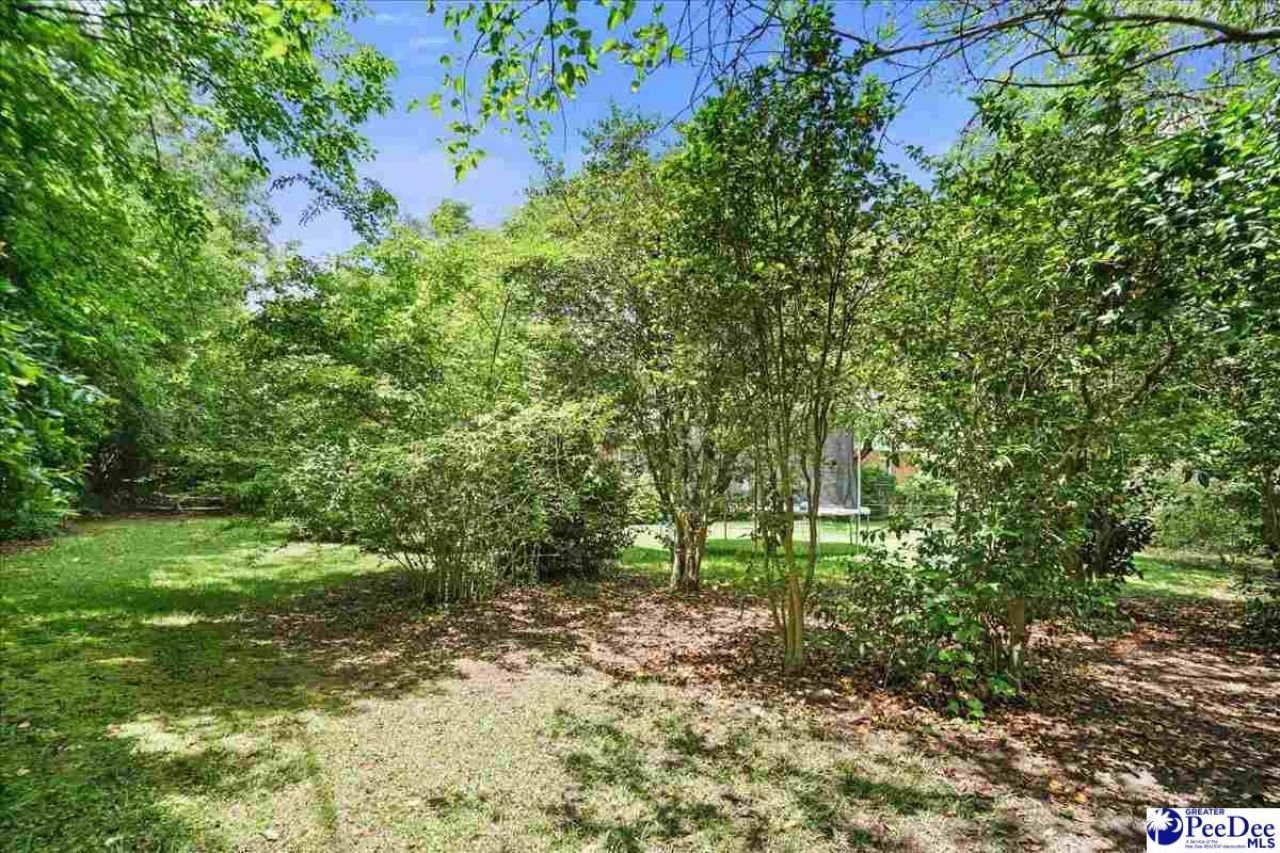 534 W Richardson Circle Photo 53