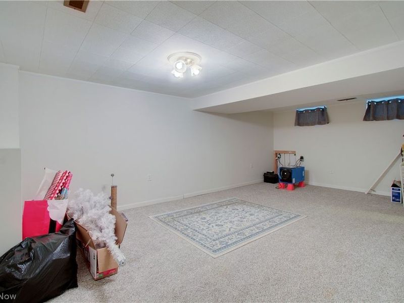 8225 Lancaster Drive, Mentor, OH 44060 Photo 20