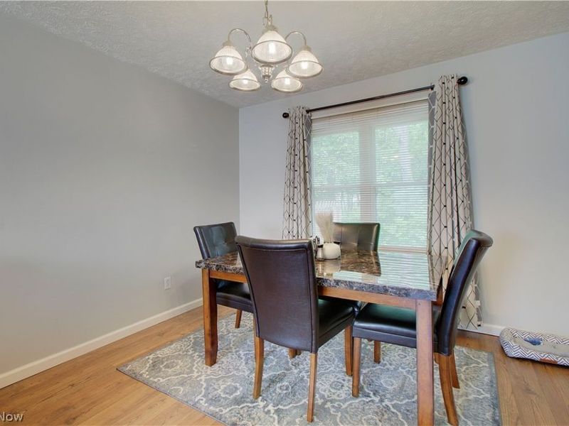 8225 Lancaster Drive, Mentor, OH 44060 Photo 6