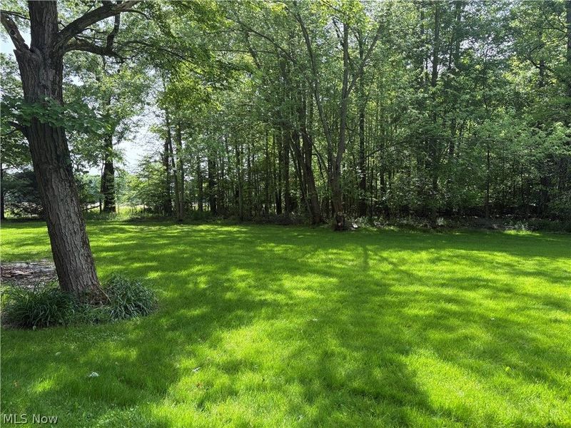 5069 Fisher Corinth Road, Farmdale, OH 44417 Photo 6