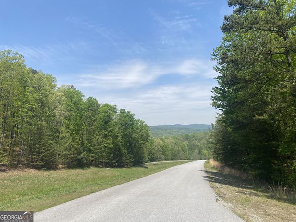 133 Lakeview Walk, Baldwin, GA 30511