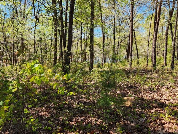 0 Crawfords Ferry Point, Hartwell, GA 30643