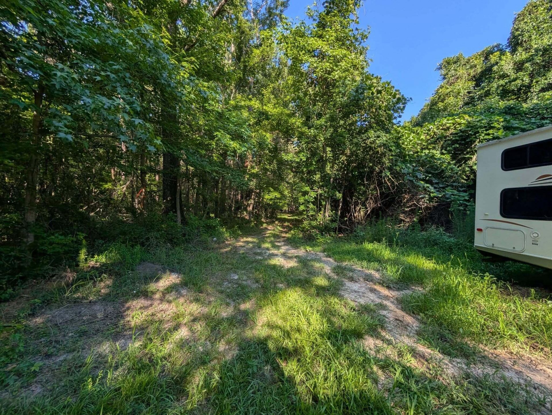 10842 Jefferies Photo 36