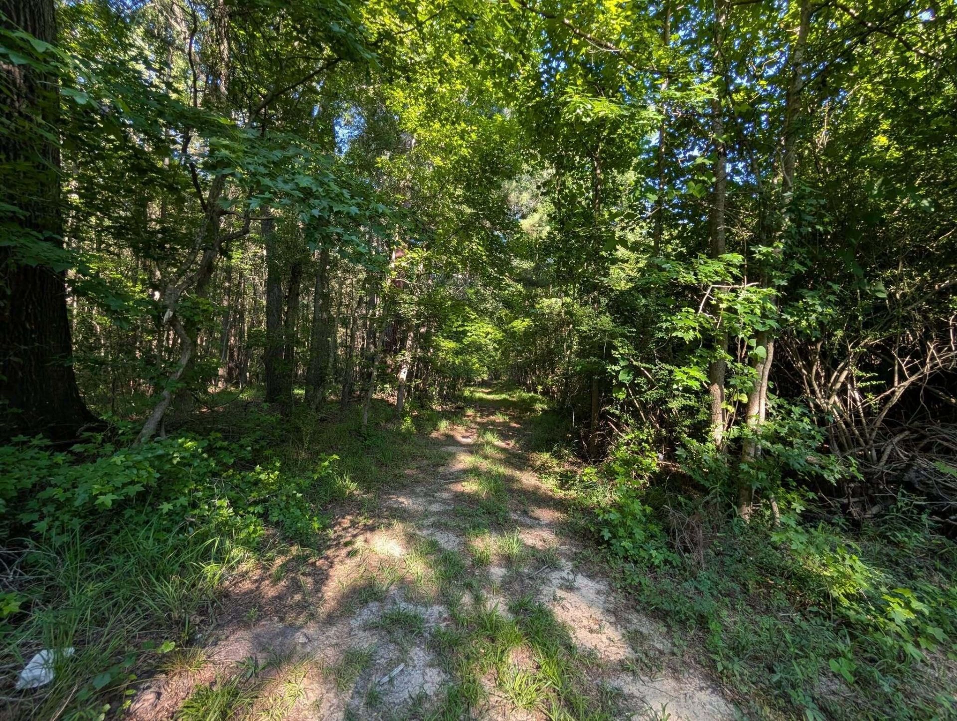 10842 Jefferies Photo 37