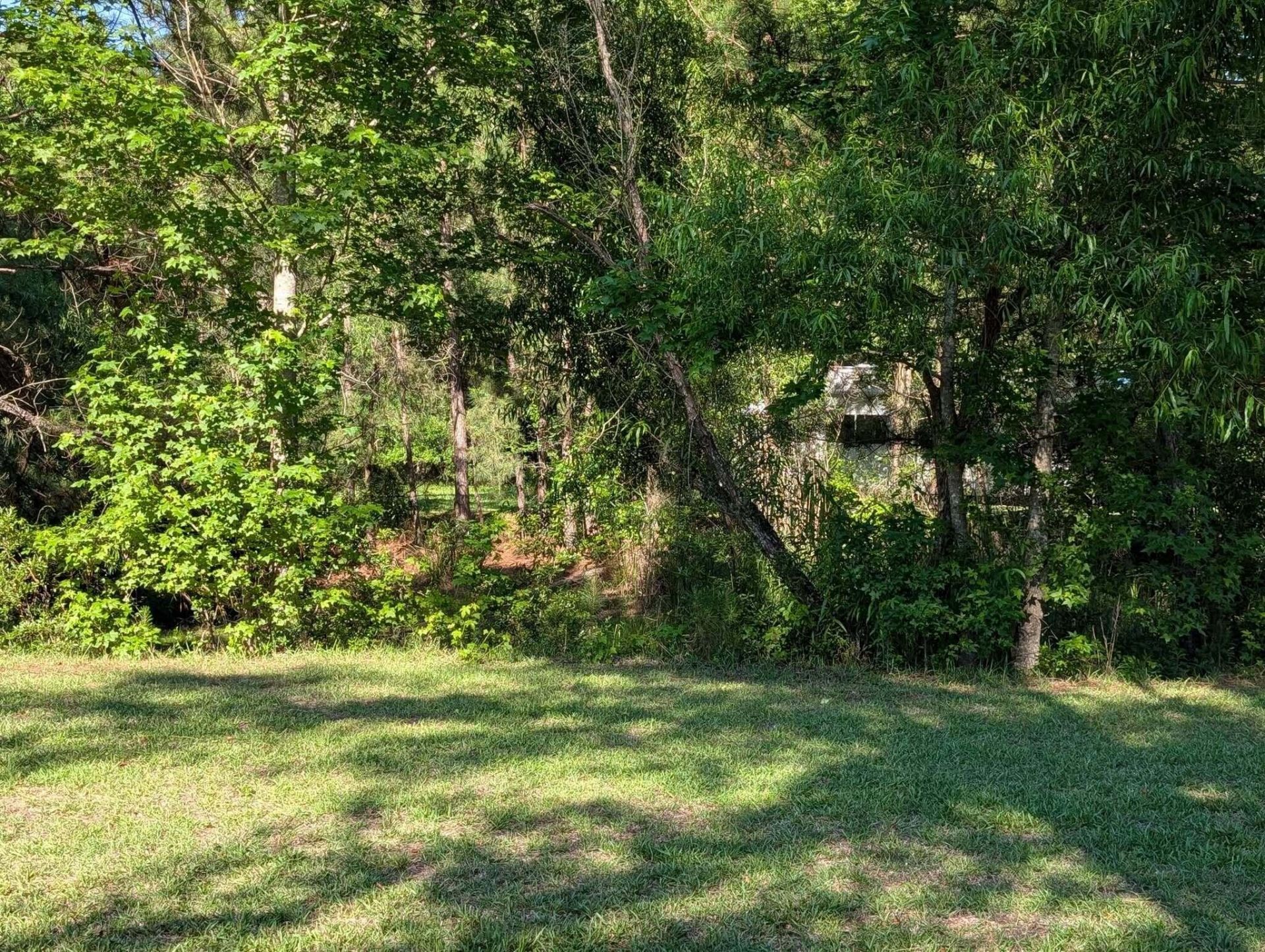 10842 Jefferies Photo 40