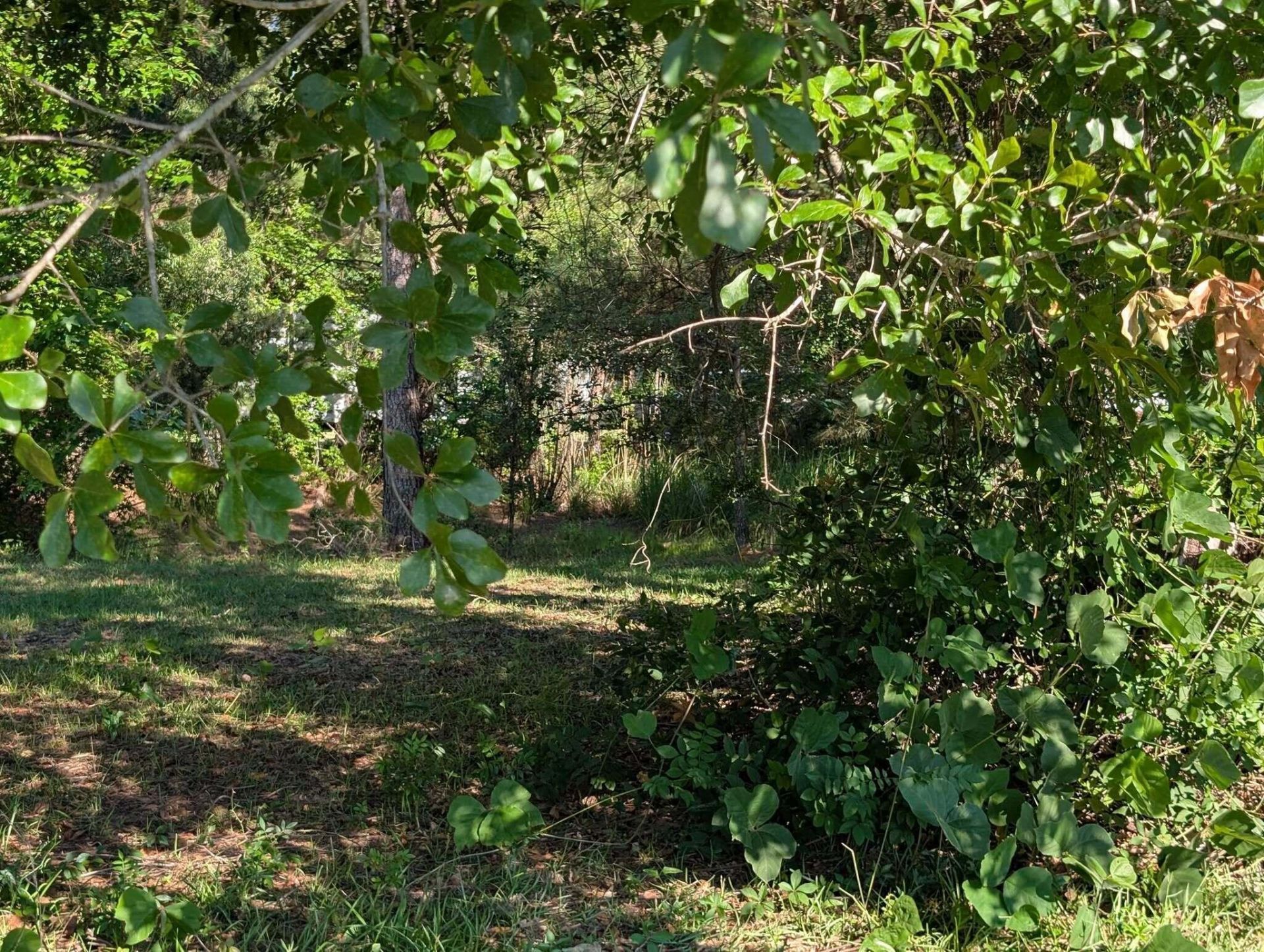 10842 Jefferies Photo 42
