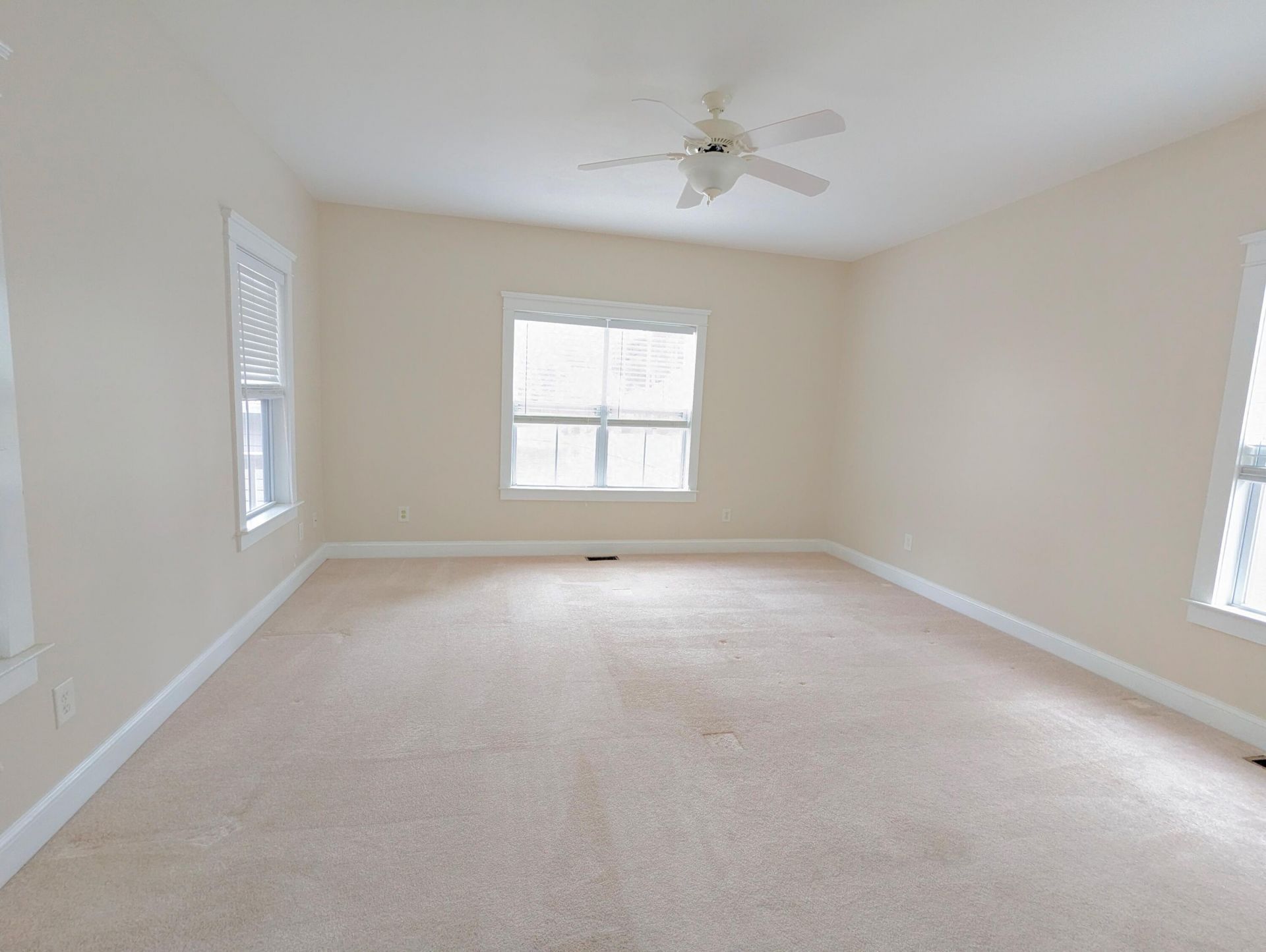 309 Branch Creek Trail Photo 12