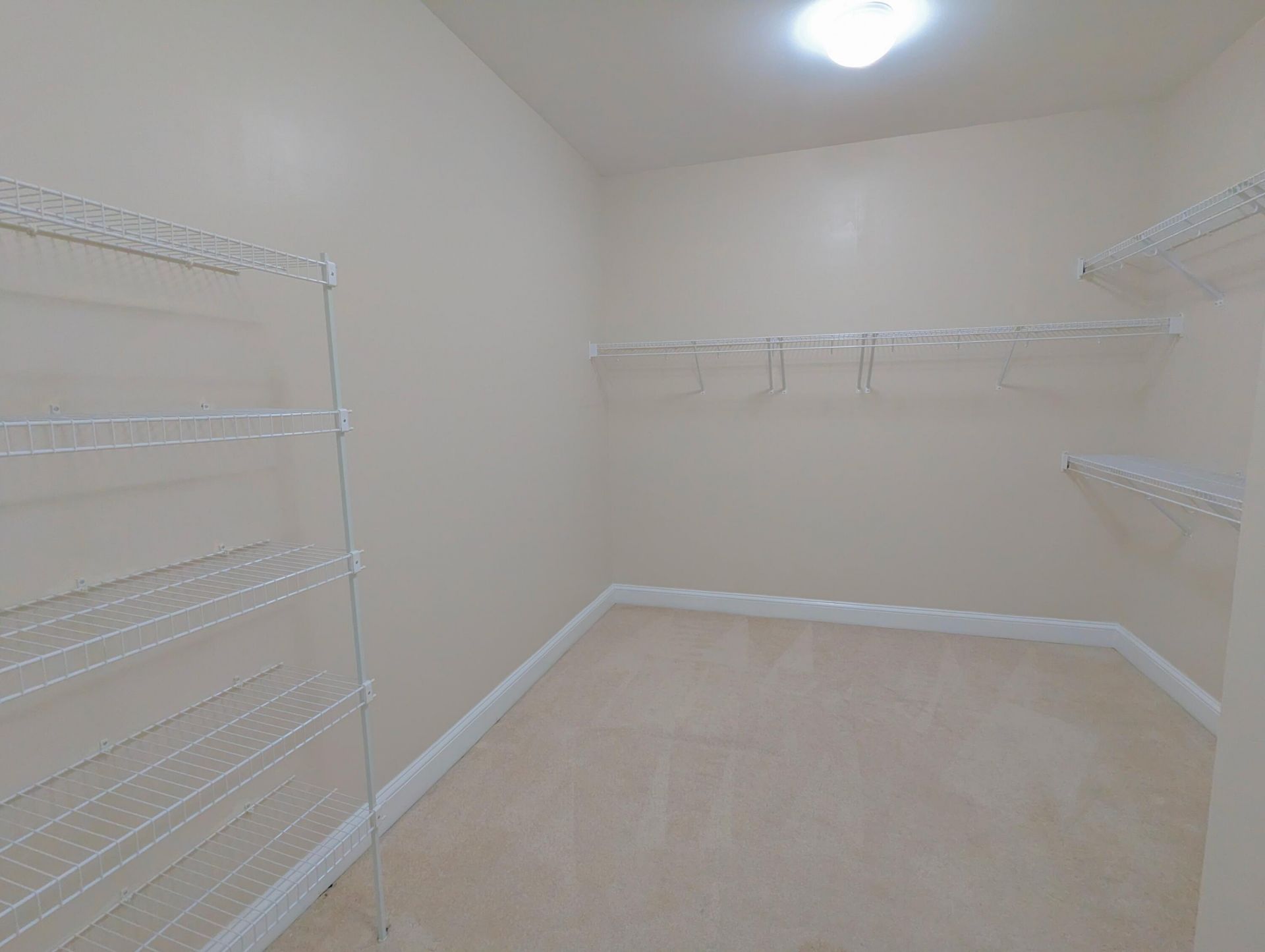 309 Branch Creek Trail Photo 15