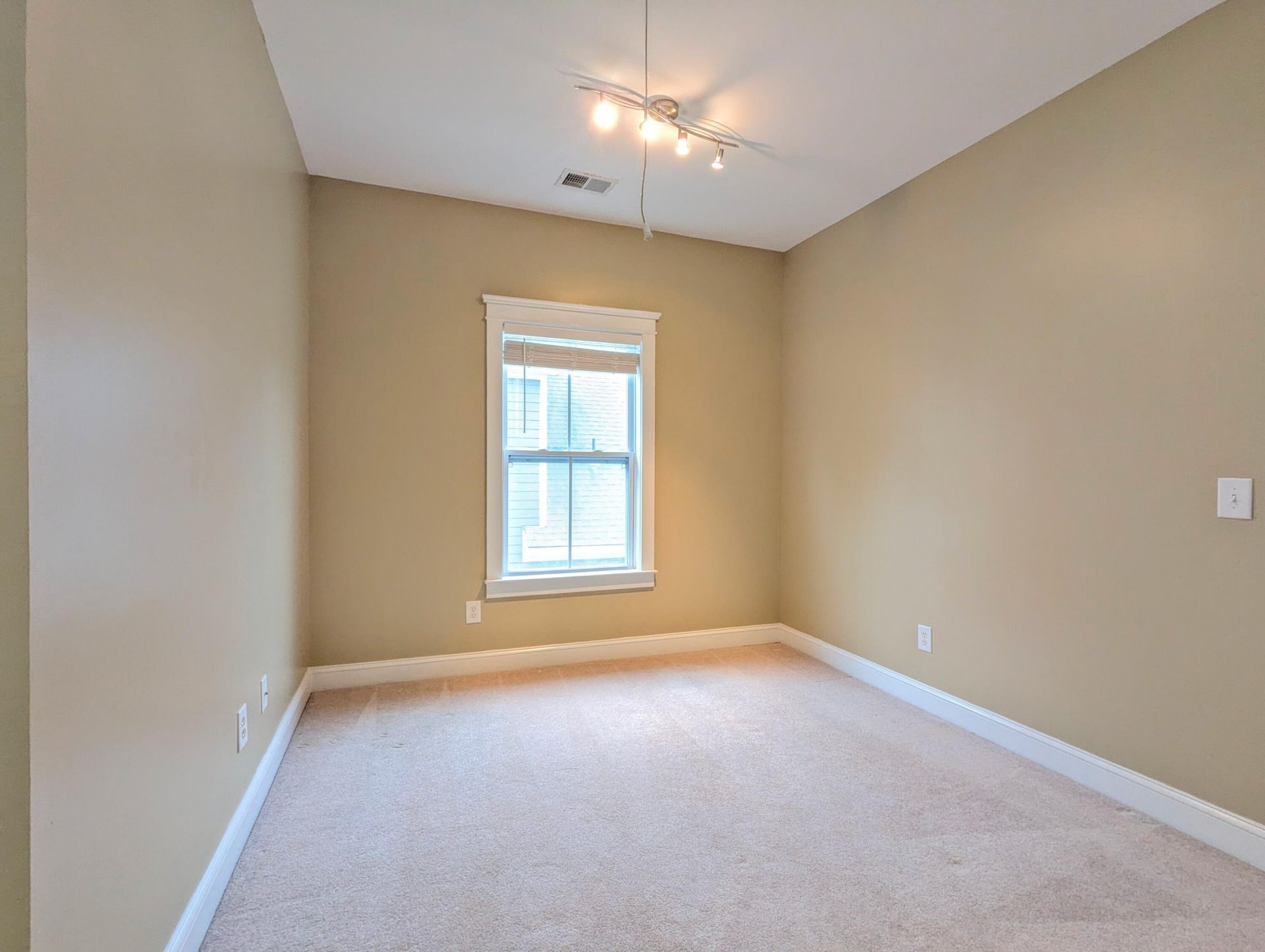 309 Branch Creek Trail Photo 16