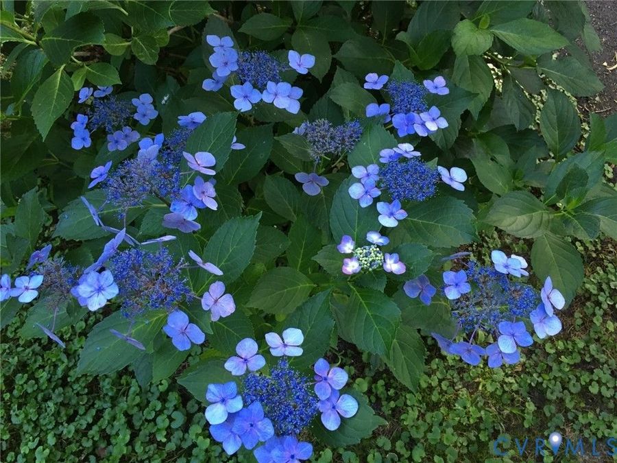 Property Image 96