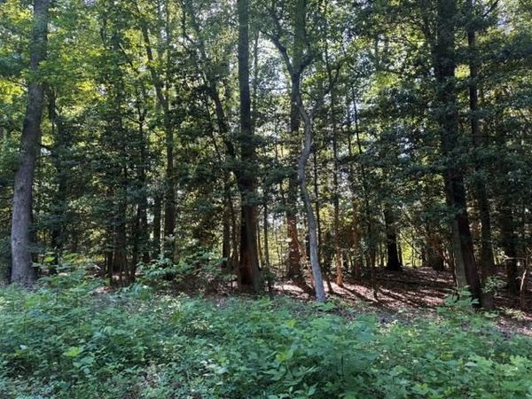 Lot 14 Cod Creek Drive, HEATHSVILLE, VA 22473