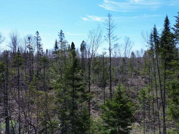 M 1 31C B Road , Hammond, ME 04730