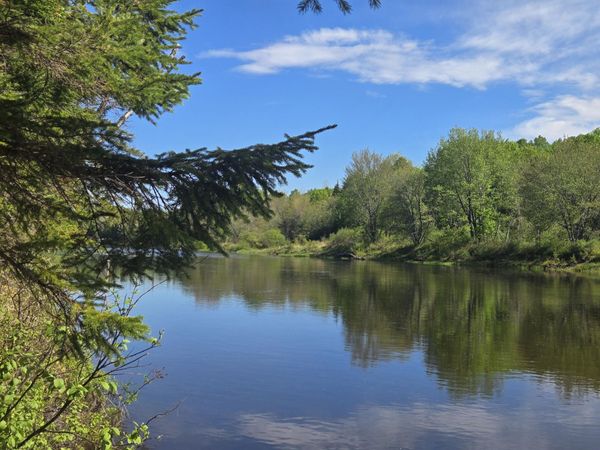 # Private Rd Off Merriman Road, Island Falls, ME 04747