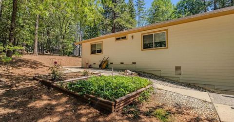 12850 Burnt Cedar Ln, Pine Grove, CA 95665 Photo