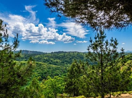 5595 Jasper Ridge Rd, Murphys, CA 95247 Photo