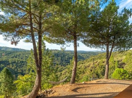 5595 Jasper Ridge Rd, Murphys, CA 95247 Photo