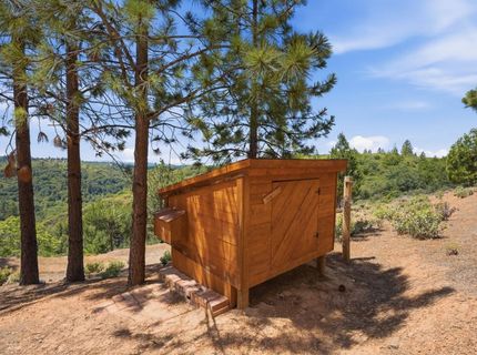 5595 Jasper Ridge Rd, Murphys, CA 95247 Photo