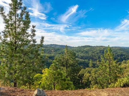 5595 Jasper Ridge Rd, Murphys, CA 95247 Photo