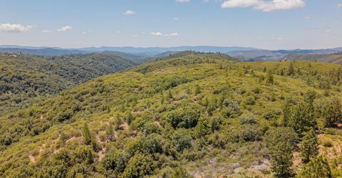 5595 Jasper Ridge Rd, Murphys, CA 95247 Photo