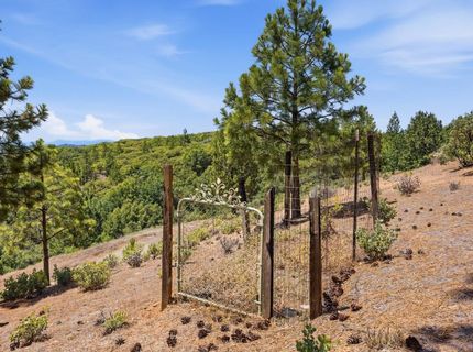 5595 Jasper Ridge Rd, Murphys, CA 95247 Photo