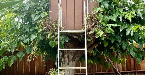 835 Nevada Ave, Los Banos, CA 93635 Photo