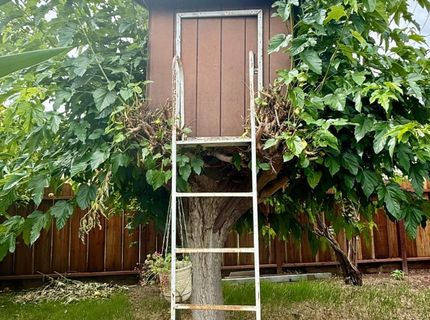 835 Nevada Ave, Los Banos, CA 93635 Photo