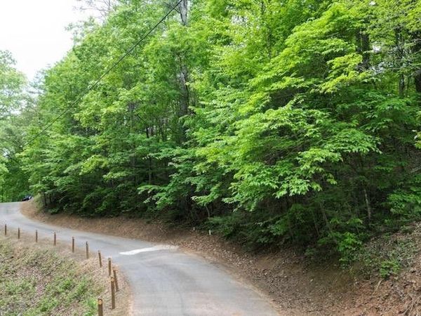 Lot 15 Dogwood Trail, Robbinsville, NC 28771