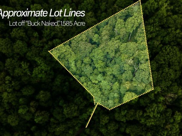 Lot Off Buck Naked Road, Bryson City, NC 28713