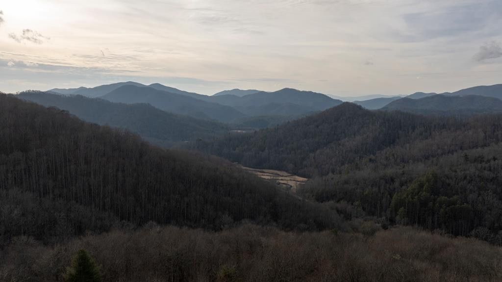 491 Otter Mountain Road, Nantahala, NC 28781 Main Photo