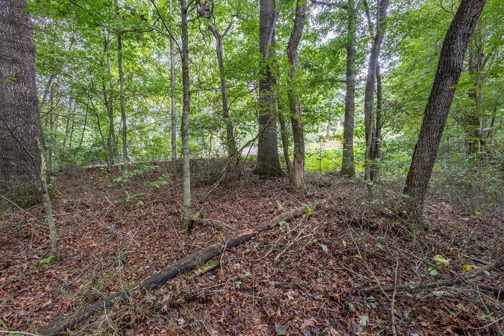 3 Ac Chestnut Flats Road, Andrews, NC 28901 Main Photo
