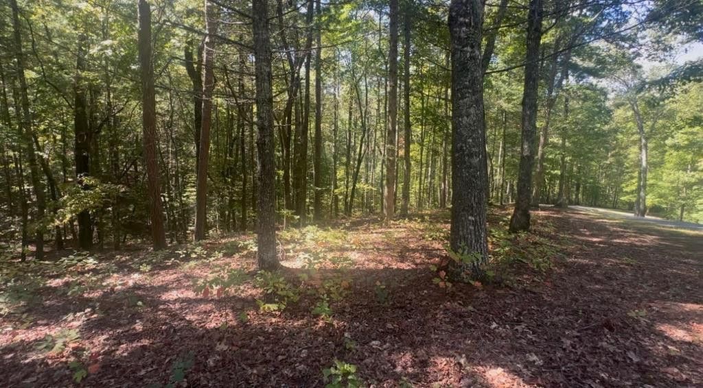 1.81 Ac Nature Valley Trail Trail, Murphy, NC 28906 Main Photo