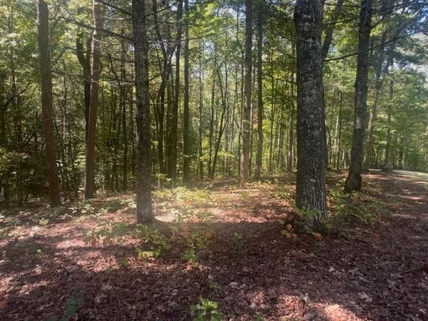 1.81 Ac Nature Valley Trail Trail, Murphy, NC 28906