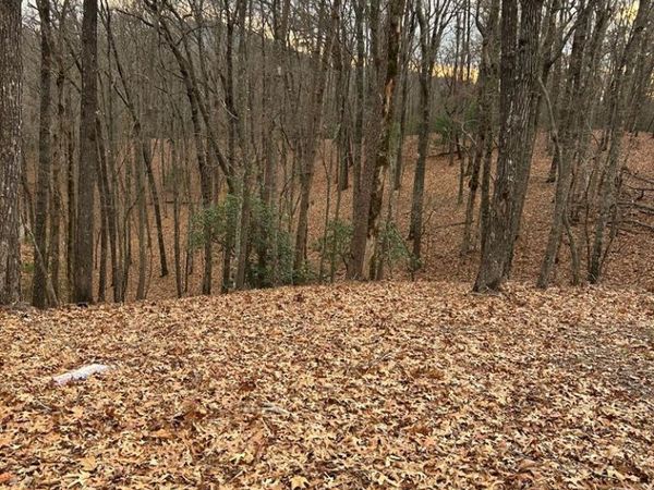 160 Tracks Hollow, Murphy, NC 28906