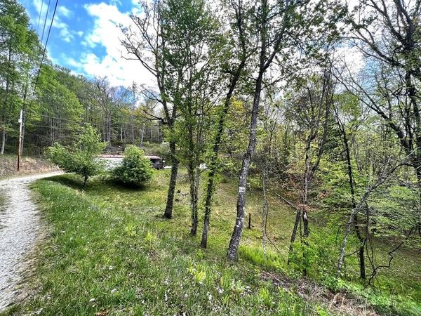 254 Joyces, Nantahala, NC 28781
