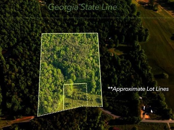 TR 1&2 W Gum Log Road , Warne, NC 28909