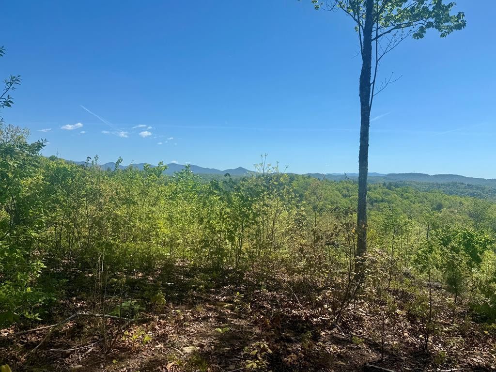 0 Wayah Ridge, Murphy, NC 28906 Main Photo
