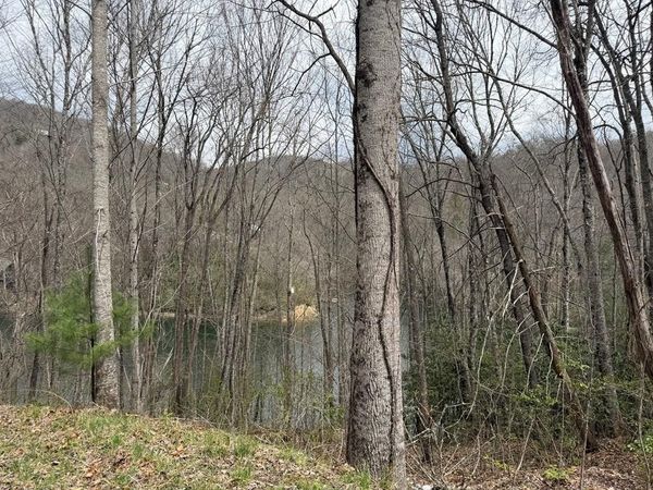#20 Rainwater Point / Indian Lake Road, Topton, NC 28781