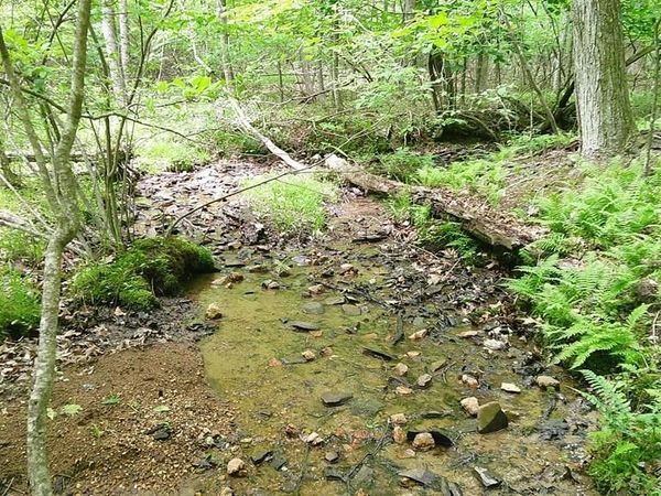 00 Tracks Hollow, Murphy, NC 28906