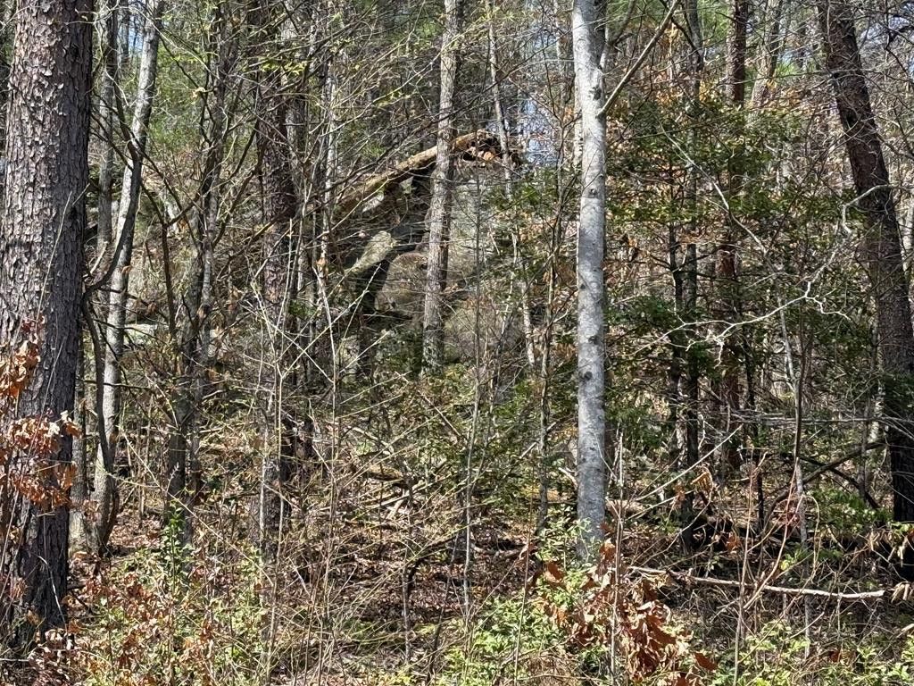 0 Morrow Road, Murphy, NC 28906 Main Photo
