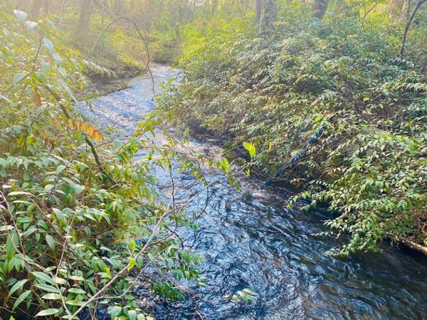 Lot 5 Carringer Road, Robbinsville, NC 28771